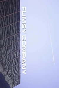  Сомнительная компания 