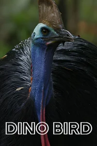  Птица-динозавр 